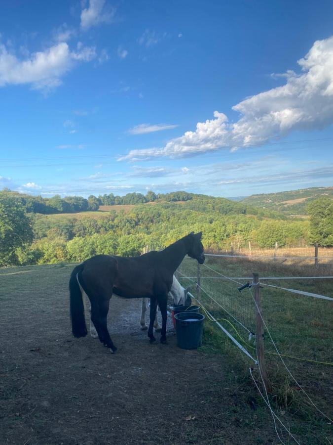 Chez Sophie - Gite Et Gite Equestre Clermont-Dessous Экстерьер фото